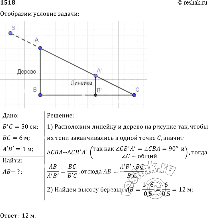 Изображение 1518.	В солнечный день высота тени от отвесно поставленной метровой линейки равна 50 см, а от дерева — 6 м. Какова высота...